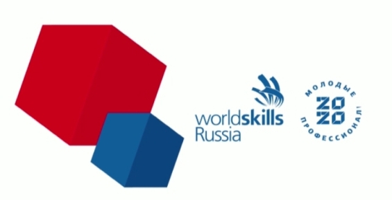 Финал VIII национального чемпионата  «Молодые профессионалы» (WorldSkills Russia)